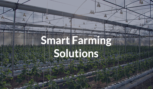 Smart Farming Solutions.png 